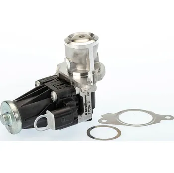 Ventil palivového systému AGR-Ventil BorgWarner 710947D