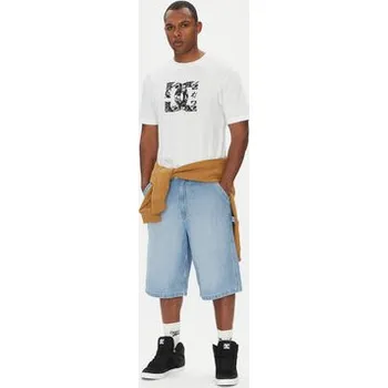 Pánské tričko DC Shoes T-Shirt ADYZT05461 Bílá Regular Fit M