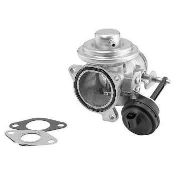 Ventil palivového systému AGR-Ventil BorgWarner 7283D