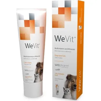WeVit Tasty 100gr - multivitamín a minerály