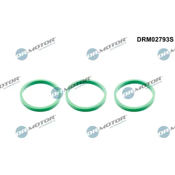 Auto-moto Sada těsnění, koleno sacího potrubí Dr.Motor Automotive DRM02793S