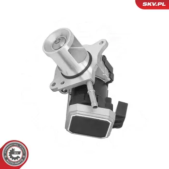 Ventil palivového systému AGR-Ventil ESEN SKV 14SKV310