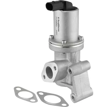 Ventil palivového systému AGR-Ventil BorgWarner 712068D