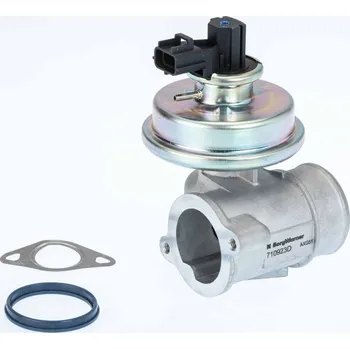 Ventil palivového systému AGR-Ventil BorgWarner 710923D