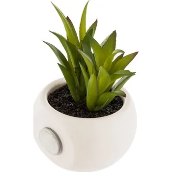 Vánoční dekorace Okrasná rostlina Atmosphera Magnet zelená PVC