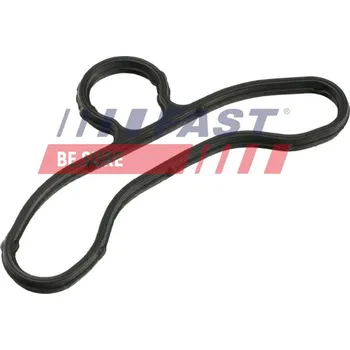 Těsnění motoru Těsnění, rozvodové ústrojí FAST FT41604