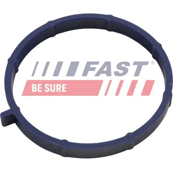 Těsnění motoru Těsnění, koleno sacího potrubí FAST FT49467