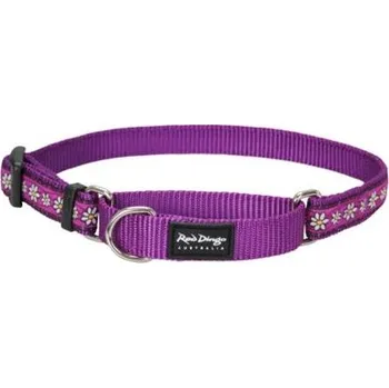 Vodítko pro psa Obojek polostahovací RD 15 mm x 26-40 cm - Daisy Chain Purple