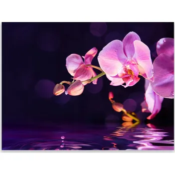 Kuchyňské prkénko Skleněná Ochranná Deska a Krájecí Prkénko | Indukce, Sporák ds-0034