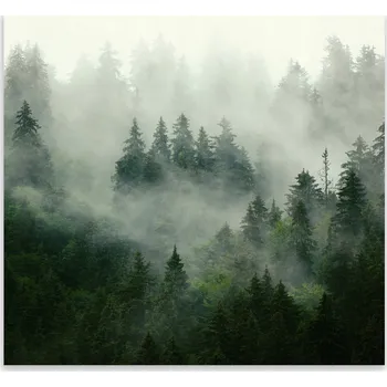 Kuchyňské prkénko Skleněná Ochranná Deska a Krájecí Prkénko | Indukce, Sporák ds-0473