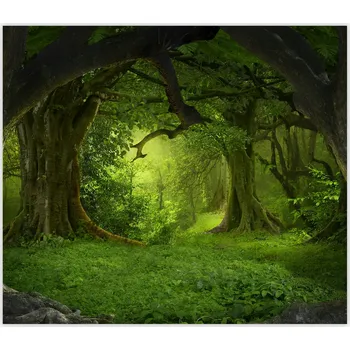 Kuchyňské prkénko Skleněná Ochranná Deska a Krájecí Prkénko | Indukce, Sporák ds-0420