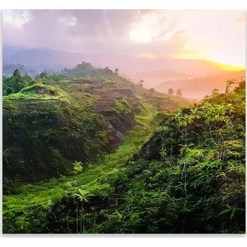 Kuchyňské prkénko Skleněná Ochranná Deska a Krájecí Prkénko | Indukce, Sporák ds-0441