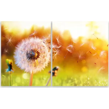 Kuchyňské prkénko Skleněná Ochranná Deska a Krájecí Prkénko | Indukce, Sporák ds-0573