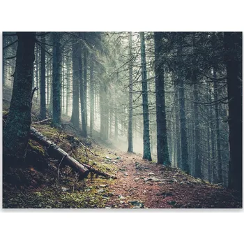 Kuchyňské prkénko Skleněná Ochranná Deska a Krájecí Prkénko | Indukce, Sporák ds-0422