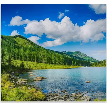 Kuchyňské prkénko Skleněná Ochranná Deska a Krájecí Prkénko | Indukce, Sporák ds-0472