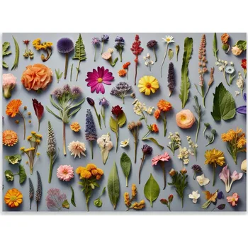 Kuchyňské prkénko Skleněná Ochranná Deska a Krájecí Prkénko | Indukce, Sporák ds-0336