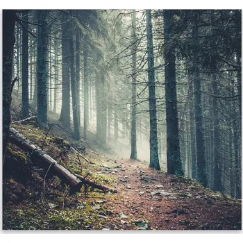 Kuchyňské prkénko Skleněná Ochranná Deska a Krájecí Prkénko | Indukce, Sporák ds-0422