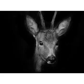 Kuchyňské prkénko Skleněná Ochranná Deska a Krájecí Prkénko | Indukce, Sporák ds-0205