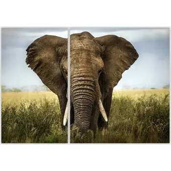 Kuchyňské prkénko Skleněná Ochranná Deska a Krájecí Prkénko | Indukce, Sporák ds-0363