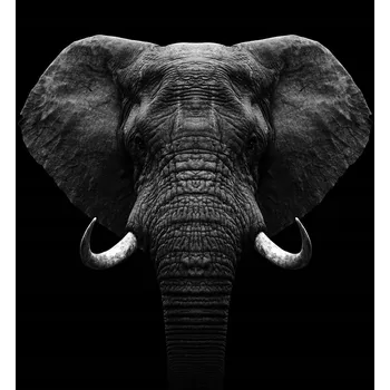 Kuchyňské prkénko Skleněná Ochranná Deska a Krájecí Prkénko | Indukce, Sporák ds-0572