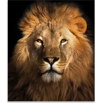 Kuchyňské prkénko Skleněná Ochranná Deska a Krájecí Prkénko | Indukce, Sporák ds-0439