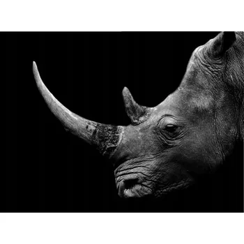 Kuchyňské prkénko Skleněná Ochranná Deska a Krájecí Prkénko | Indukce, Sporák ds-0136