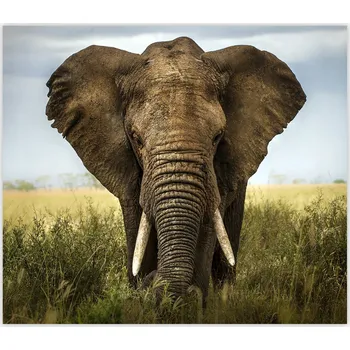 Kuchyňské prkénko Skleněná Ochranná Deska a Krájecí Prkénko | Indukce, Sporák ds-0363