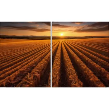 Kuchyňské prkénko Skleněná Ochranná Deska a Krájecí Prkénko | Indukce, Sporák ds-0330