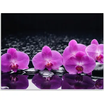 Kuchyňské prkénko Skleněná Ochranná Deska a Krájecí Prkénko | Indukce, Sporák ds-0037