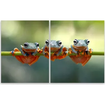 Kuchyňské prkénko Skleněná Ochranná Deska a Krájecí Prkénko | Indukce, Sporák ds-0466