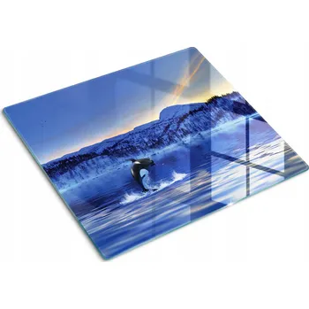 Obraz Krájecí deska Tulup sklo 2 ks