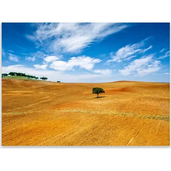 Kuchyňské prkénko Skleněná Ochranná Deska a Krájecí Prkénko | Indukce, Sporák ds-0137