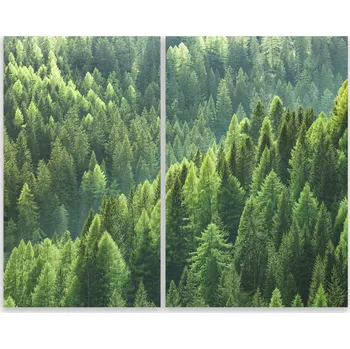 Kuchyňské prkénko Skleněná Ochranná Deska a Krájecí Prkénko | Indukce, Sporák ds-0417