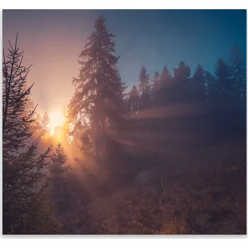 Kuchyňské prkénko Skleněná Ochranná Deska a Krájecí Prkénko | Indukce, Sporák ds-0165