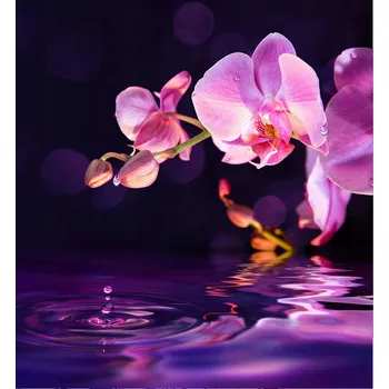 Kuchyňské prkénko Skleněná Ochranná Deska a Krájecí Prkénko | Indukce, Sporák ds-0034