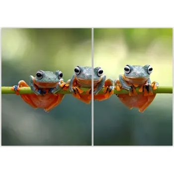 Kuchyňské prkénko Skleněná Ochranná Deska a Krájecí Prkénko | Indukce, Sporák ds-0466