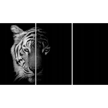 Kuchyňské prkénko Skleněná Ochranná Deska a Krájecí Prkénko | Indukce, Sporák ds-0408