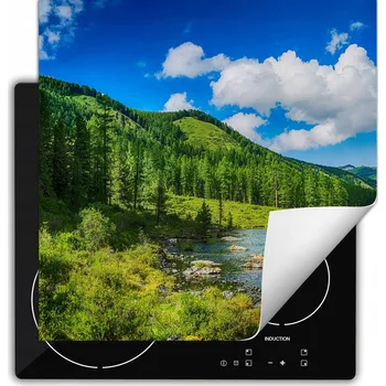 Obraz Ochranná podložka pod indukční varnou desku dekorativní rolovací do kuchyně potisk 60x52 wm0472