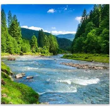 Kuchyňské prkénko Skleněná Ochranná Deska a Krájecí Prkénko | Indukce, Sporák ds-0364