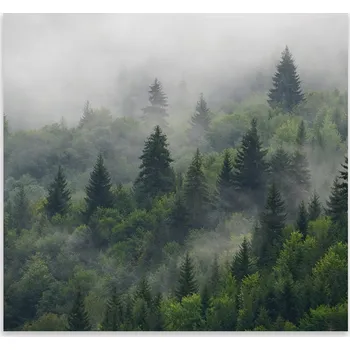 Kuchyňské prkénko Skleněná Ochranná Deska a Krájecí Prkénko | Indukce, Sporák ds-0500