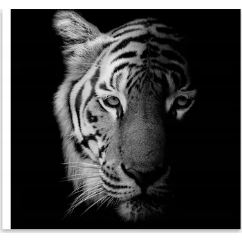 Kuchyňské prkénko Skleněná Ochranná Deska a Krájecí Prkénko | Indukce, Sporák ds-0408