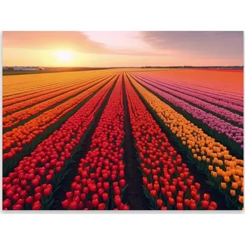 Kuchyňské prkénko Skleněná Ochranná Deska a Krájecí Prkénko | Indukce, Sporák ds-0335