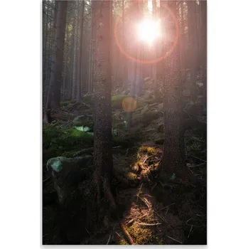 Kuchyňské prkénko Skleněná Ochranná Deska a Krájecí Prkénko | Indukce, Sporák ds-0477