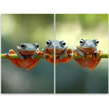 Kuchyňské prkénko Skleněná Ochranná Deska a Krájecí Prkénko | Indukce, Sporák ds-0466