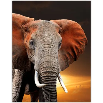 Kuchyňské prkénko Skleněná Ochranná Deska a Krájecí Prkénko | Indukce, Sporák ds-0544