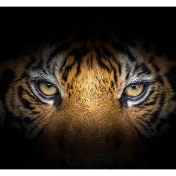 Kuchyňské prkénko Skleněná Ochranná Deska a Krájecí Prkénko | Indukce, Sporák ds-0535