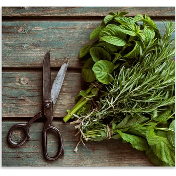 Kuchyňské prkénko Skleněná Ochranná Deska a Krájecí Prkénko | Indukce, Sporák ds-0379