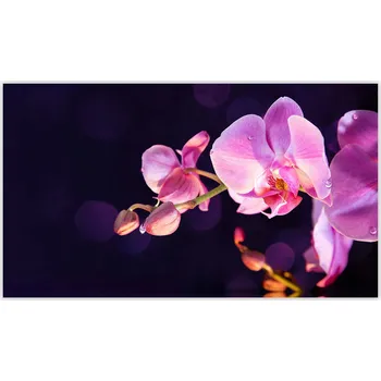 Kuchyňské prkénko Skleněná Ochranná Deska a Krájecí Prkénko | Indukce, Sporák ds-0034