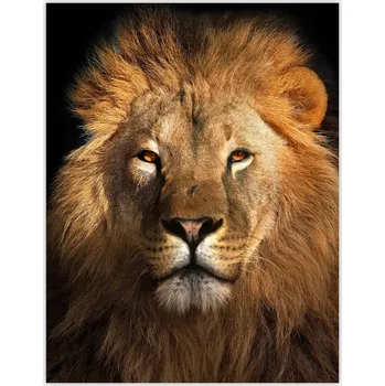 Kuchyňské prkénko Skleněná Ochranná Deska a Krájecí Prkénko | Indukce, Sporák ds-0439