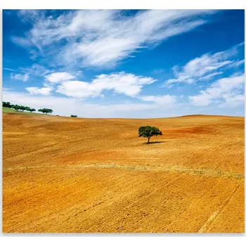 Kuchyňské prkénko Skleněná Ochranná Deska a Krájecí Prkénko | Indukce, Sporák ds-0137